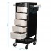 Hairdressing Trolley GABBIANO FT65 Black/White